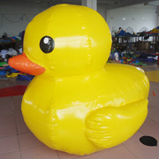 inflatable swim duck